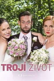Double Trouble poster