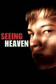 Seeing Heaven poster