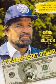 The Enchanted Dollar poster