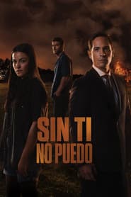 Can't Live Without You poster