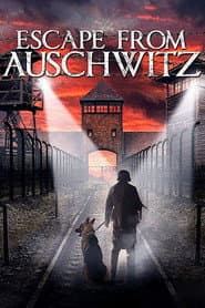 The Escape from Auschwitz poster