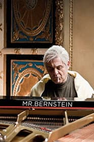 Mr Bernstein poster