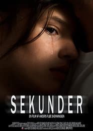 Sekunder poster