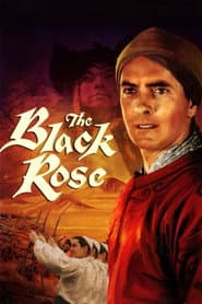 The Black Rose poster
