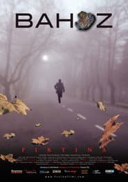 The Storm poster