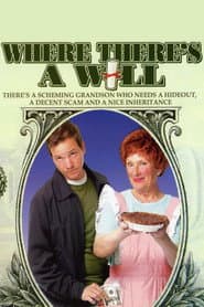 Where There's a Will poster