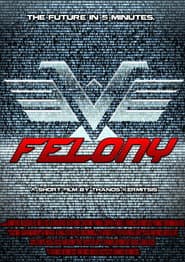 Felony poster