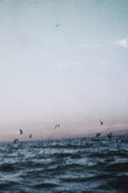Ocean III poster