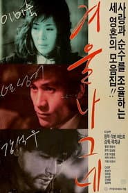Winter Wanderer poster