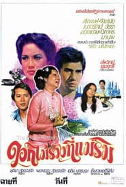 ดอกไม้ร่วงที่แม่ริม poster