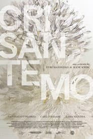 Crisantemo poster