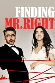 Finding Mr. Right poster