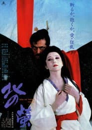 Fireflies in the North poster