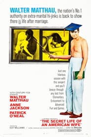 The Secret Life of an American Wife poster
