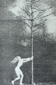 The Phallic Forest poster