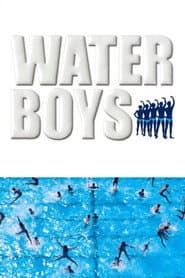 Waterboys poster
