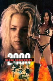 Big Sister 2000 poster