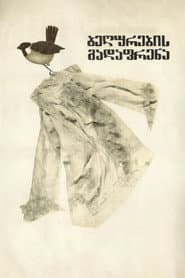 Migrating Sparrows poster
