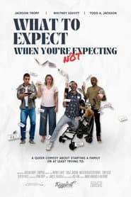 What to Expect When You're Not Expecting poster