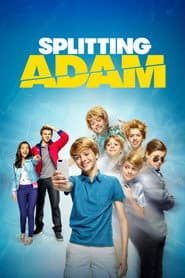 Splitting Adam poster