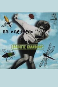 Brigitte Kaandorp: ... En Vliegwerk poster