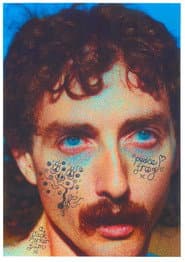 peace frog poster