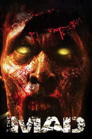 The Mad poster