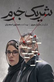 Accomplice poster