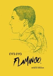 Flamingo poster