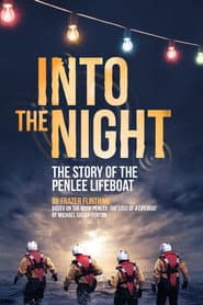 Into the Night poster