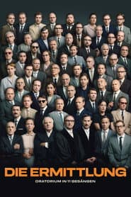 The Investigation poster