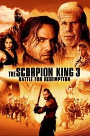 The Scorpion King 3: Battle for Redemption poster