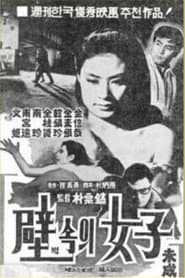 A Woman in the Wall poster