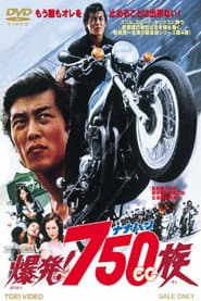 Hell Riders poster