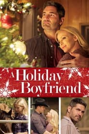 A Holiday Boyfriend poster