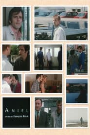 Aniel poster
