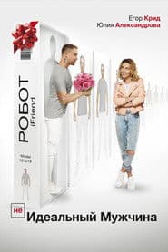 (UN)Ideal Man poster