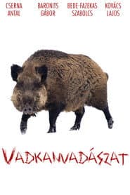 Wildboar Hunting poster