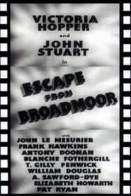 Escape from Broadmoor poster