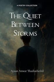 The Quiet Between Storms poster