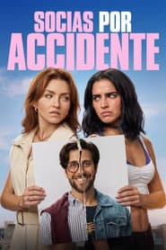 Accidental Partners poster
