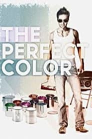 The Perfect Color poster