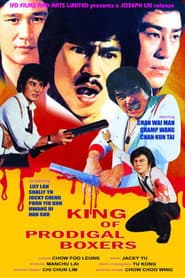Deadly Duo poster