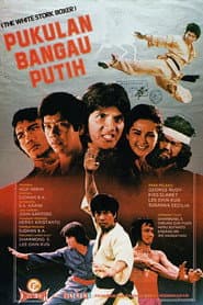 The Fierce Boxer poster
