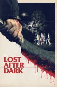 Lost After Dark poster