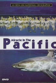 Miracle in the Pacific poster