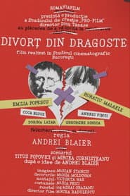 Divorț... din dragoste poster