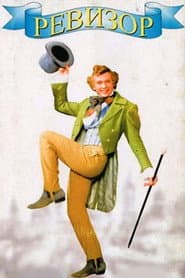 Revizorro poster