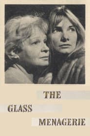 The Glass Menagerie poster
