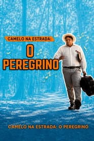 Camelo na Estrada: O Peregrino - O Filme poster